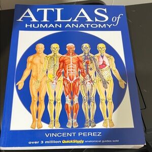 Atlas of Human Anatomy Book